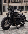 Leva Freno e Frizione Triumph PIKE - cafetwin