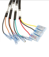 3-in-1 Wiring Adapter for Triumph from 2016 - cafetwin