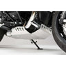Engine guard for BMW R nineT (20 - 24) Silver - cafetwin