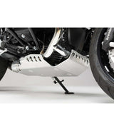 Engine guard for BMW R nineT (20 - 24) Silver - cafetwin
