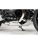 Engine guard for BMW R nineT (20 - 24) Silver - cafetwin