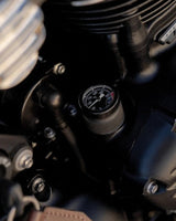 Temperature Sensor for Triumph from 2016 - cafetwin