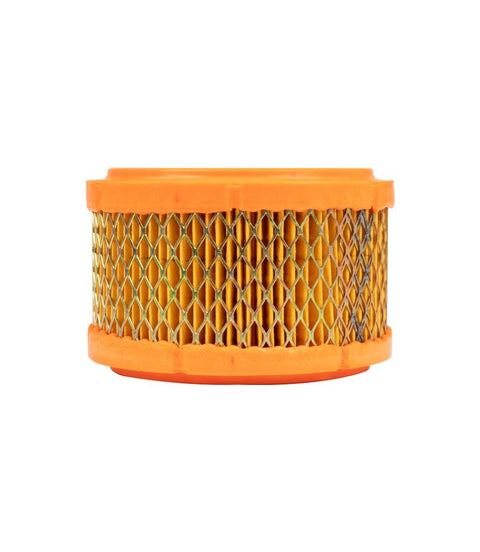 Filtro Aria per Classic 500 Royal Enfield - Ricambio Originale - cafetwin